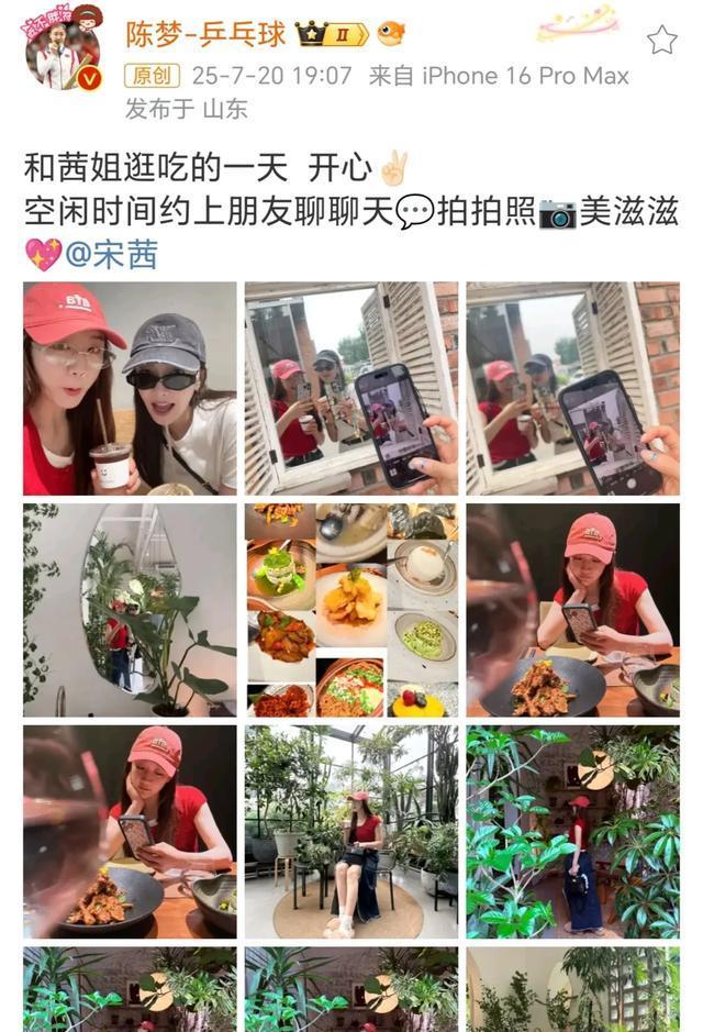 投身娱乐圈, 己与女星宋, 的热议
