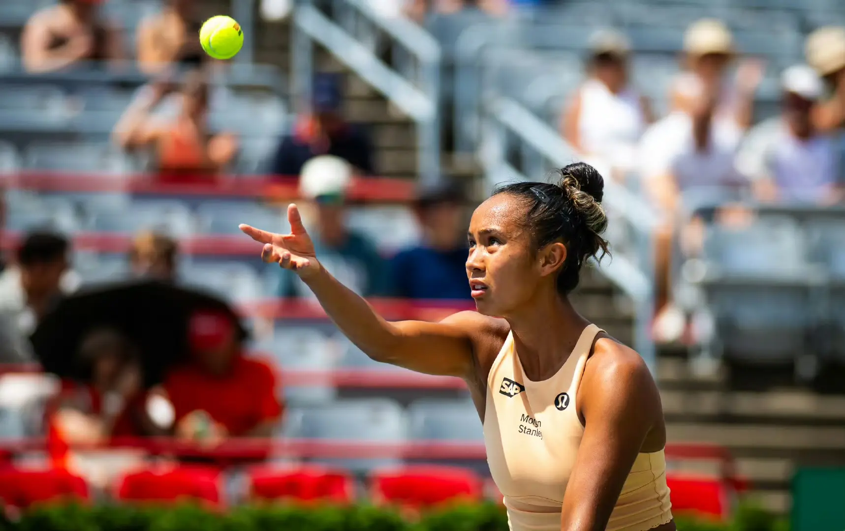 费尔南德斯 费尔南德斯