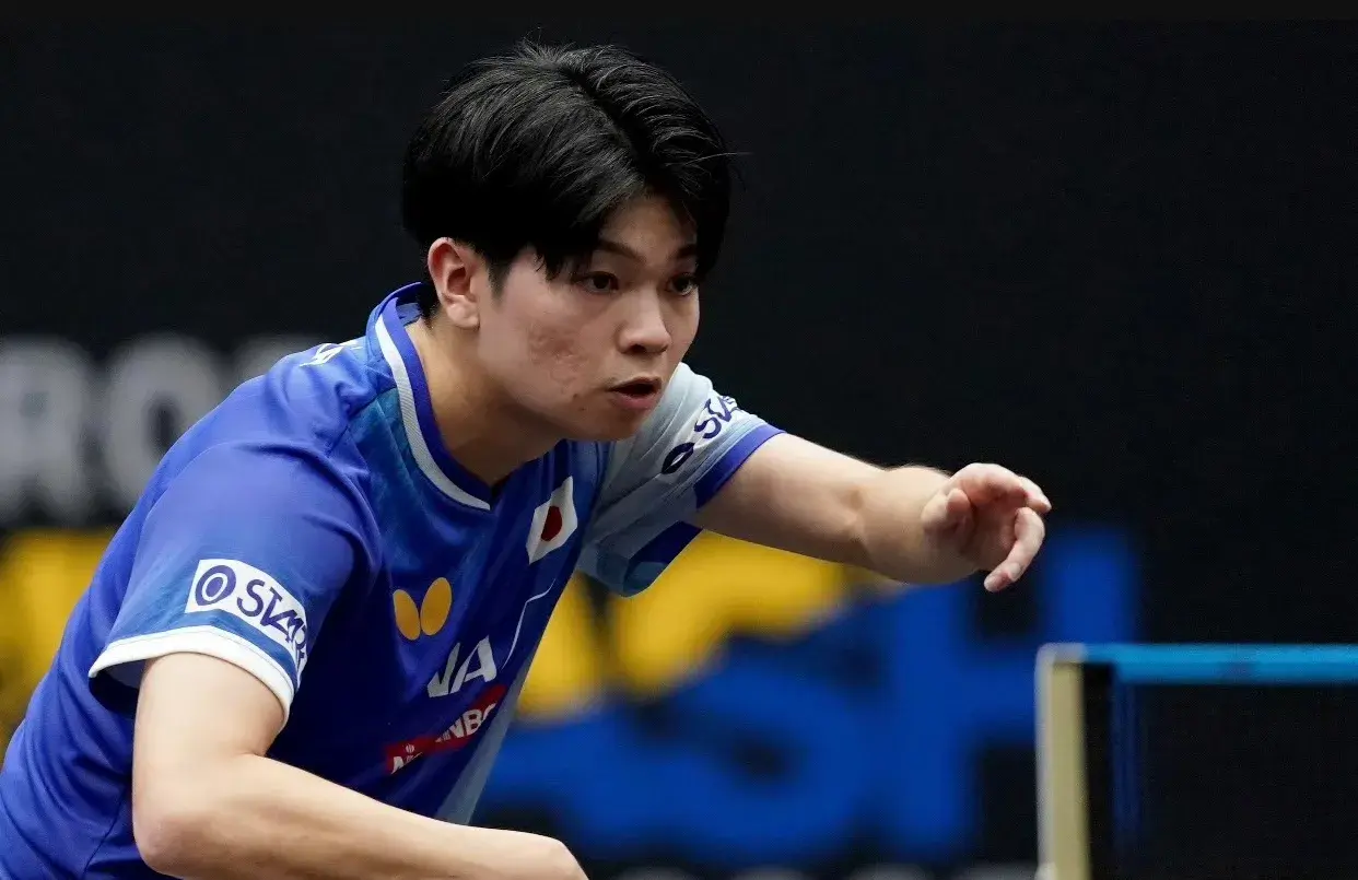 entit, 但显然得分 entit, 但显然得分