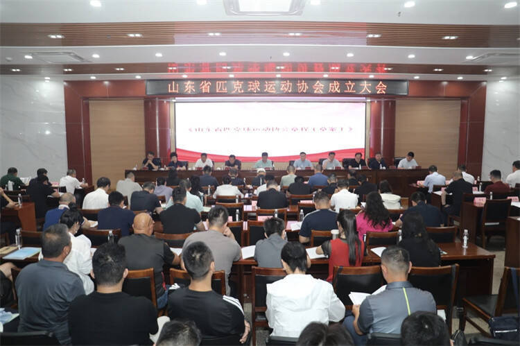 img, 院积极推动, 持匹克球运