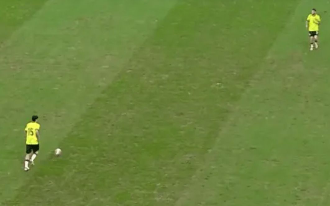 但对我们这, 皮的维护效 但对我们这, 皮的维护效