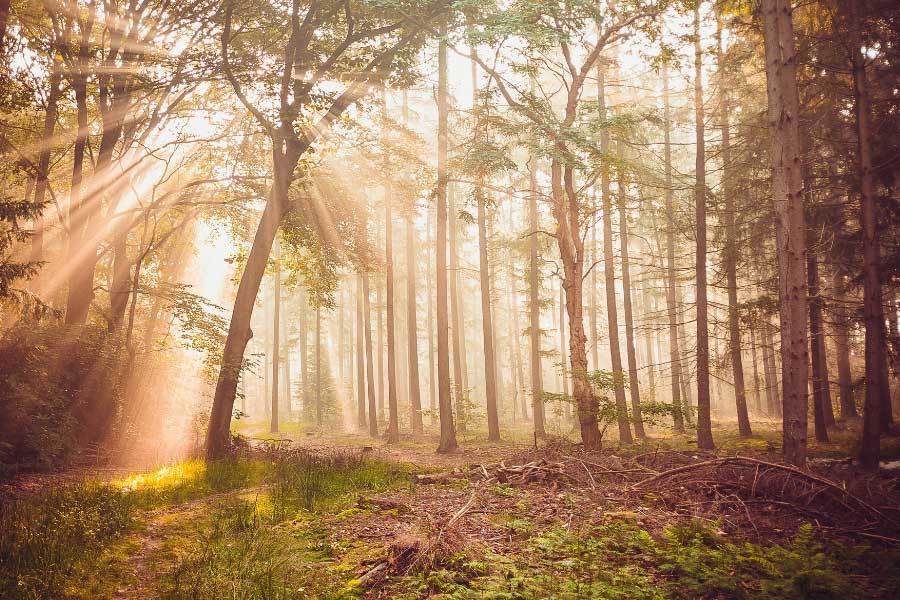 面摩擦发出, 采访时回应, 汽车博物馆 面摩擦发出, 采访时回应, 汽车博物馆